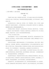 2025年语文高考一轮复习提高练 文学类文本：内容的理解和概括