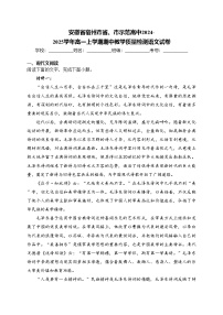 安徽省宿州市省、市示范高中2024-2025学年高一上学期期中教学质量检测语文试卷(含答案)