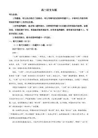 湖南省部分市县2024-2025学年高二上学期11月期中考试语文试卷（Word版附解析）
