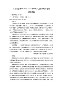 2023~2024学年山东省淄博市高一(上)期末考试语文试卷(解析版)