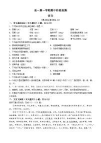 北京市海淀区2024-2025学年高一上学期11月期中考试语文试题