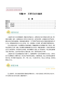 专题09  文言文对比阅读（上海专用）-2025年高考语文二轮热点题型归纳与变式演练