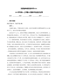 安徽省阜南实验中学2024-2025学年高一上学期11月期中考试语文试卷(含答案)