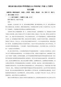 湖北省市级示范高中智学联盟2024-2025学年高二上学期12月联考语文试卷（Word版附解析）