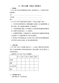 高中语文人教统编版选择性必修 上册10 *老人与海（节选）课时作业