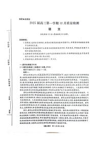 河南省华师联盟2025届高三上学期12月质量检测考试-语文试卷+答案