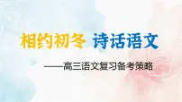 2025年高三二轮语文备考策略课件