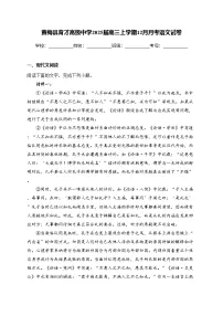 2025黄冈黄梅县育才高级中学高三上学期12月月考试题语文含答案