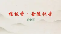 高中语文人教统编版必修 下册桂枝香·金陵怀古备课ppt课件