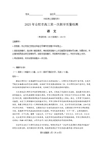 安徽省合肥市一模2025届高三第一次教学质量检测语文试题及答案