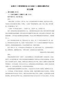四川省宜宾市第三中学2024-2025学年高二上学期期末模拟考试语文试题 Word版含解析