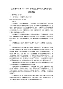 安徽省阜阳市2024-2025学年高三上学期1月期末考试语文试卷（解析版）