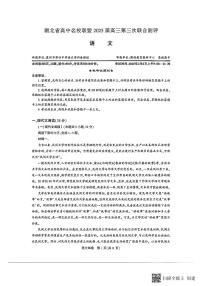 湖北省圆创高中名校联盟2025届高三下学期2月第三次联合测评语文试卷（PDF版附解析）