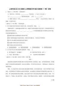2025届上海市徐汇区高三上语文学习能力诊断卷([高考]一模)试卷