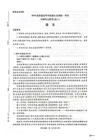 河南省青桐鸣大联考2024-2025学年高三下学期2月月考语文试卷（PDF版附答案）