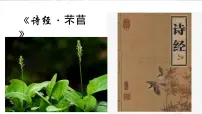 高中语文6.1 芣苢完整版ppt课件
