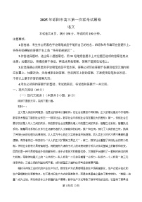 湖南省邵阳市2024-2025学年高三上学期期末考试语文试卷（Word版附解析）