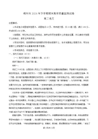 湖南省郴州市2024-2025学年高二上学期1月期末考试语文试卷（Word版附解析）