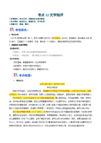 新高考语文一轮复习考点过关训练考点12 文学短评（新增考点）（2份，原卷版+解析版）
