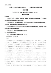 河南省信阳市2024-2025学年高二上学期期末语文试题（解析版）