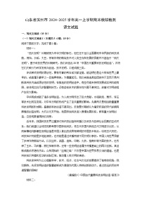 2024~2025学年山东省滨州市高一上学期期末模拟检测语文试卷（解析版）