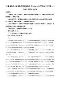 安徽省阜阳市临泉县田家炳实验中学2024-2025学年高三上学期11月期中考试语文试题 Word版含解析