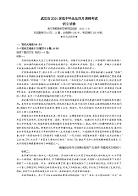 湖北省武汉市2024届高三下学期4月调研（二模）语文试卷 含答案