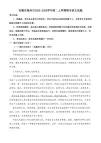 安徽省亳州市2024-2025学年高二上学期期末语文试题（含答案）