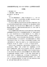 【语文】云南省昆明市东川区2024-2025学年高一上学期期末考试试题（解析版）