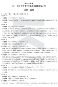 天一大联考2024-2025学年高中毕业班阶段性测试（六）高三下学期3月语文试题及答案