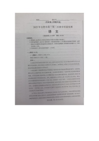 2025届合肥市高三第二次教学质量检测语文试题