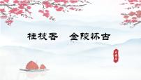 语文必修 下册桂枝香·金陵怀古教学课件ppt