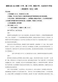 2025届甘肃省陇南市文县四校高三下学期联合模拟测试语文试题（原卷版+解析版）