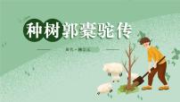 高中语文人教统编版选择性必修 下册11 *种树郭橐驼传教学ppt课件