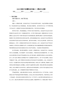2025届四川省攀枝花市高三二模语文试题（附答案解析）