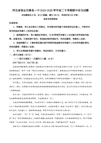 河北省保定市唐县一中2024-2025学年高二下学期期中语文试题（原卷版+解析版）