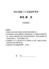 2024届湖南天壹名校联盟高三5月适应考-语文试卷（含答案）