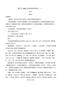 广东省湛江市2025届高三下学期一模语文试题 含解析