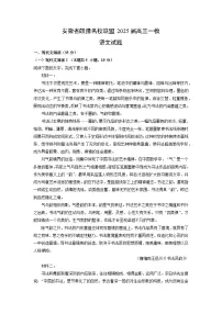 安徽省皖豫名校联盟2025届高三一模[高考模拟]语文试卷（解析版）