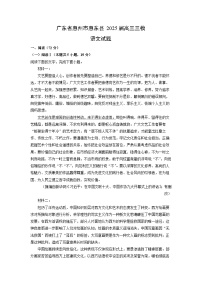 广东省惠州市惠东县2025届高三三模语文试卷（解析版）