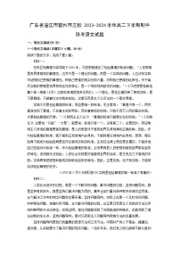 广东省湛江市雷州市三校2023-2024学年高二下学期期中联考语文试卷（解析版）