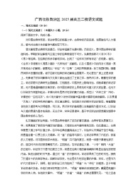 广西壮族自治区2025届高三二模语文试卷（解析版）