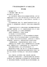 广西壮族自治区柳州市2025届高三三模语文试卷（解析版）