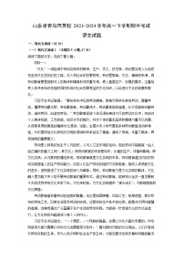 山东省青岛市某校2023-2024学年高一下学期期中考试语文试卷（解析版）