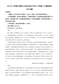 2025届湖南省长沙市麓山外国语实验中学高三一模语文试题（原卷版+解析版）