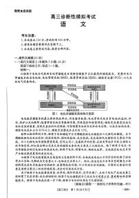 2025河北金太阳高三3月诊断性模拟考试语文试卷（含答案）