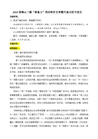 2025届佛山二模“想象力”的材料作文审题立意分析与范文-备战2025年高考语文写作技巧实战分析与素材运用讲练（全国通用）