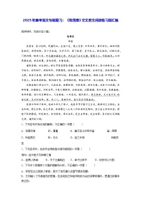 2025年高考语文专题复习：《陈情表》 文言文阅读练习题汇编（含答案解析译文）