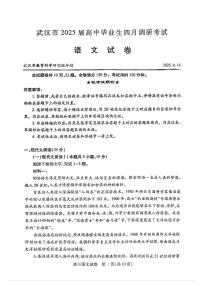 湖北省武汉市2025届高三高考模拟第四次调研-语文试题+答案