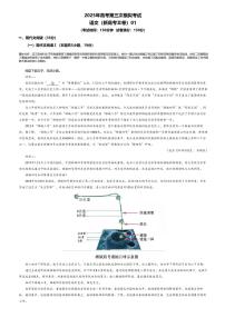 2025年高考第三次模拟考试语文试题及答案（新高考Ⅱ卷01）